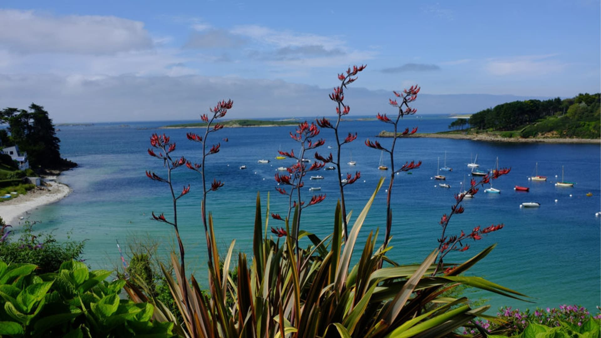 Aber fleuri et bateaux au mouillage - Bretagne - France