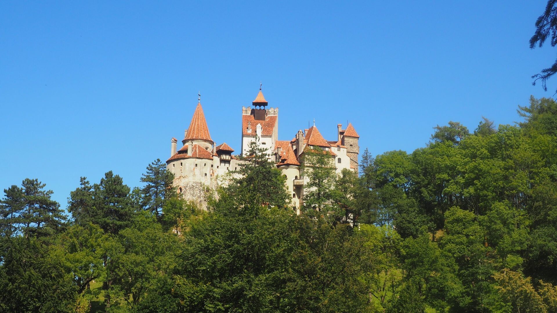 Château de Bran émergeant de la forêt - Carpates - Roumanie