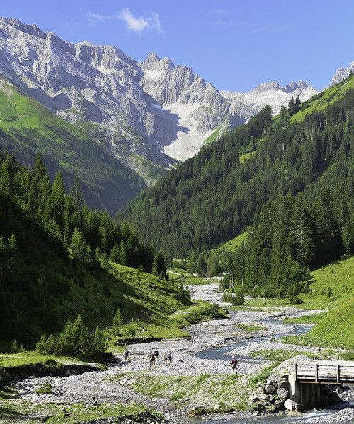 Vallée alpine et torrent sous les sommets calcaires - Alpes