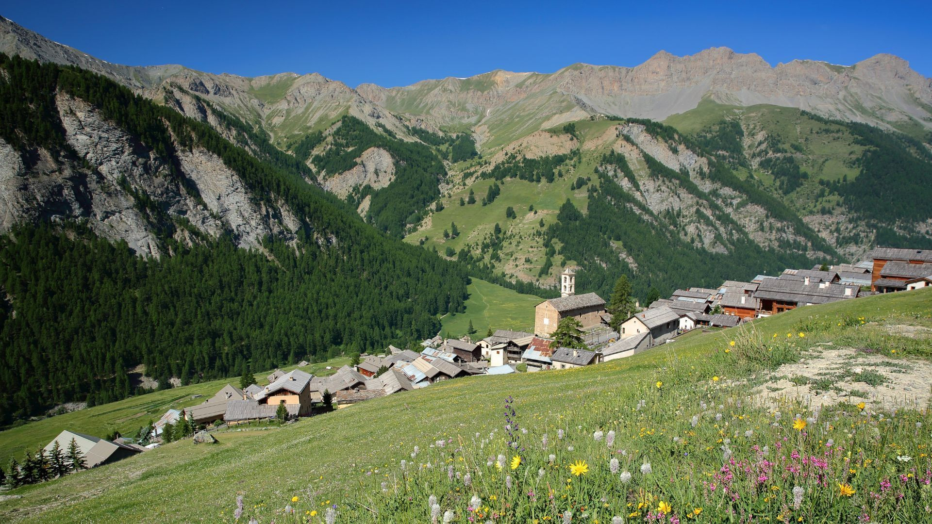 Village alpin de Saint-Véran et ses prairies fleuries - Queyras - Hautes-Alpes, France