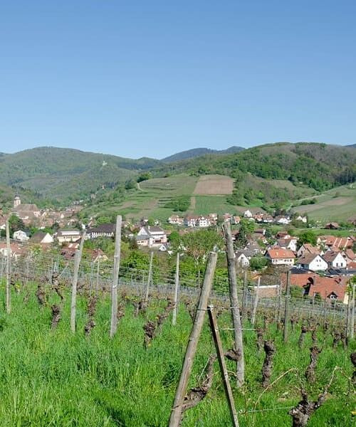 © Quentin Vanaker Village et vignobles d'Alsace - France