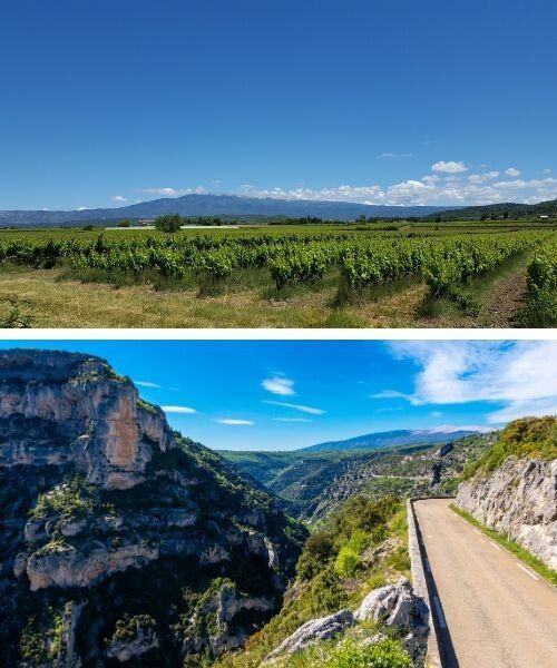 © Charlotte Laventureux Vignoble AOC et gorges de la Nesque - Provence - France
