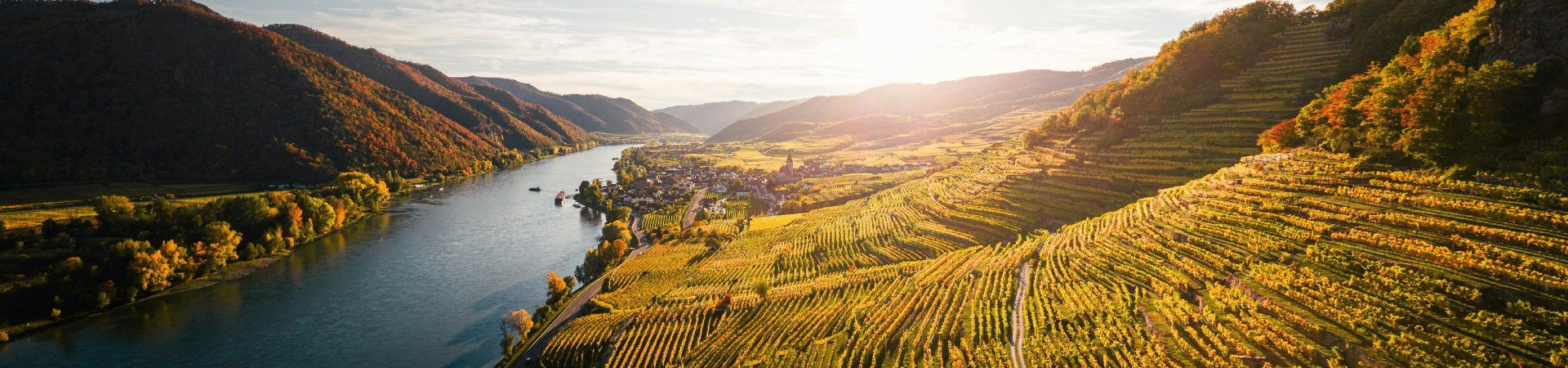 Vignobles et Danube de la Wachau - Autriche