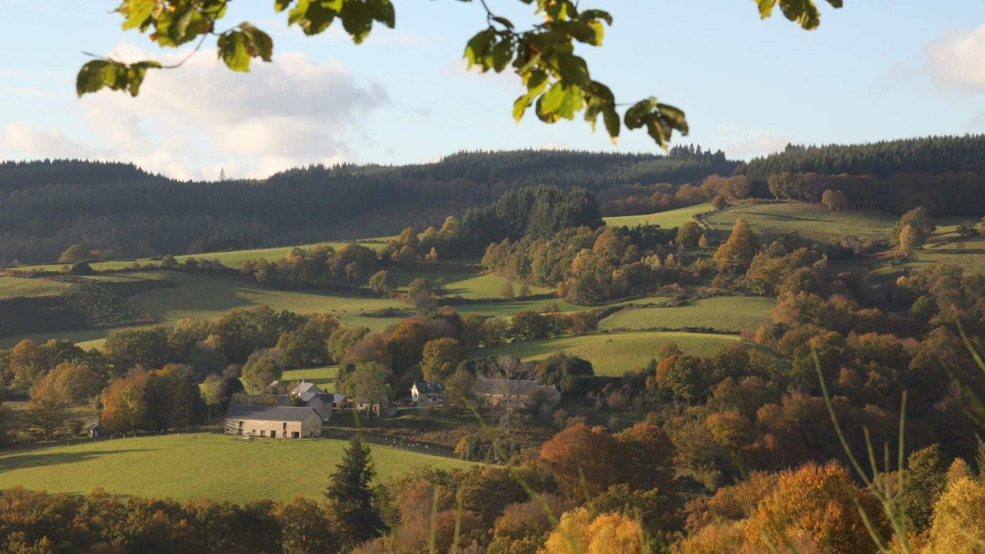Collines boisées et hameau en automne - plateau de Millevaches, France