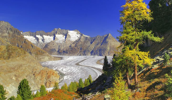 Vue automnale sur le glacier d'Aletsch - Valais - Suisse