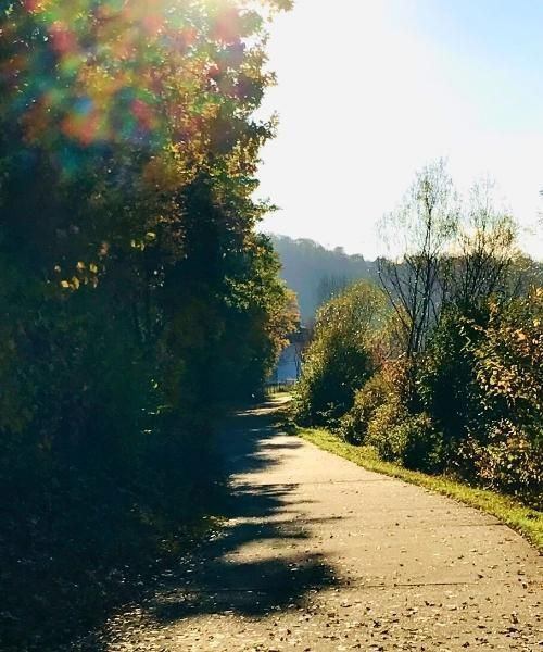 Chemin au bord de l'eau en automne - Sarrebourg - France