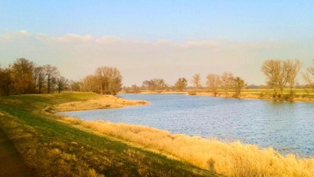 Rivière paisible bordée d'arbres dans la plaine - Europe