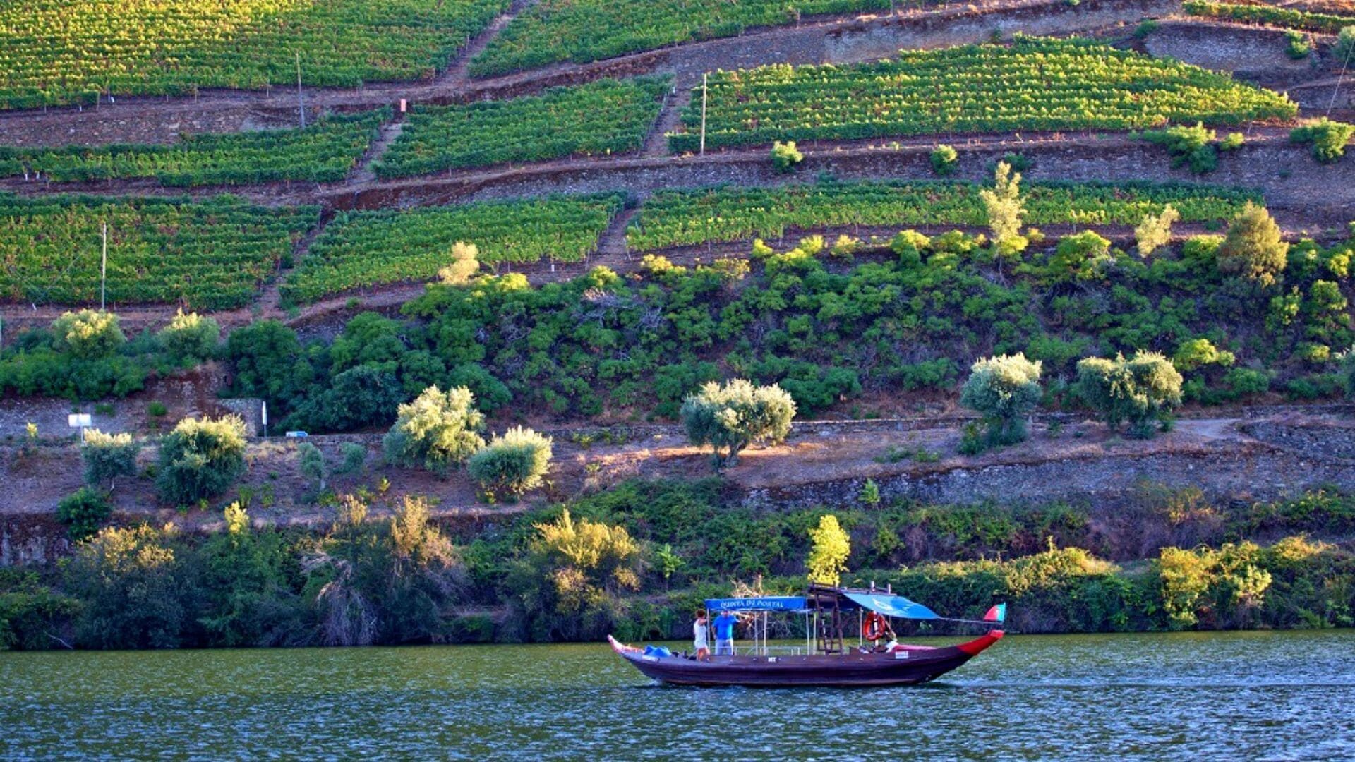© Authentic Trails Bateau rabelo sur le Douro et vignobles en terrasses - Portugal
