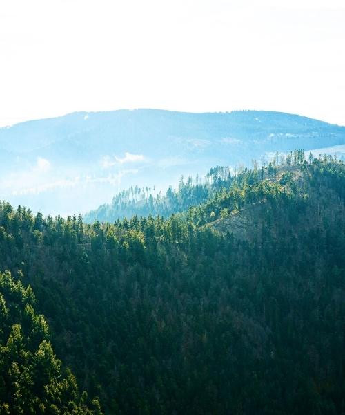 © Unsplash belchen_c_unsplash_.jpg
