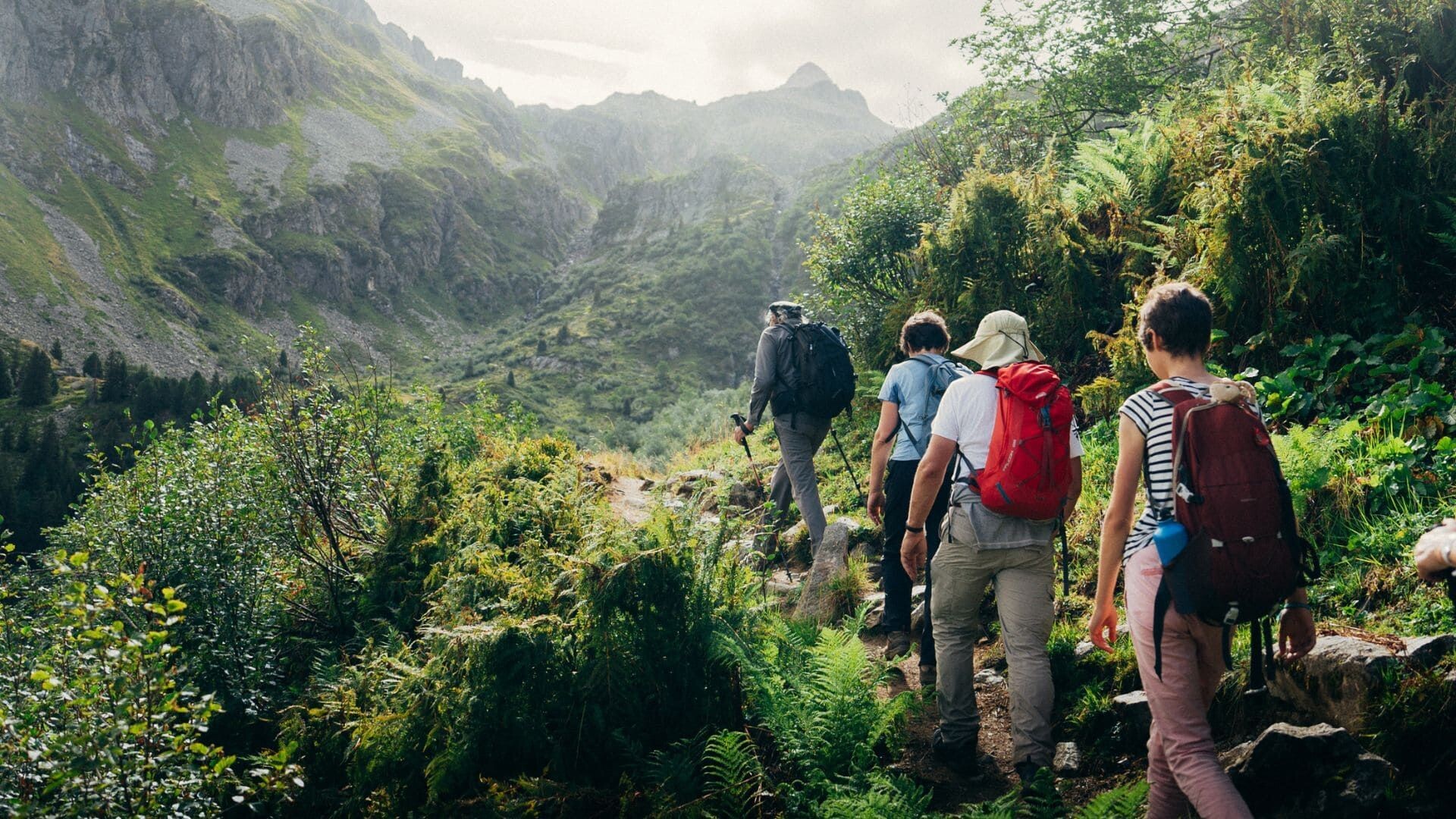 Randonneurs sur un sentier de montagne verdoyant - Belledonne - France