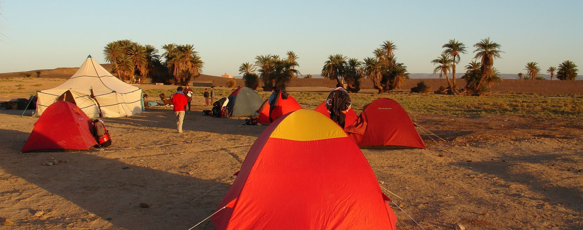 Campement de tentes au bord de l'oasis - Haut Atlas - Maroc