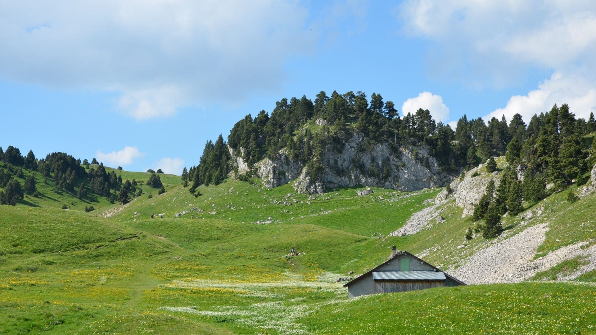 Bergerie des Chaumailloux dans les alpages - Vercors - France