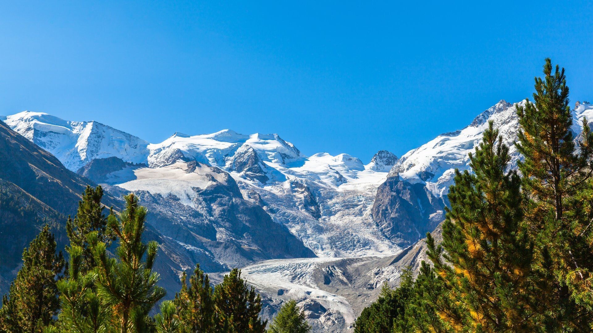 Glaciers du massif de la Bernina - Engadine - Alpes - Suisse
