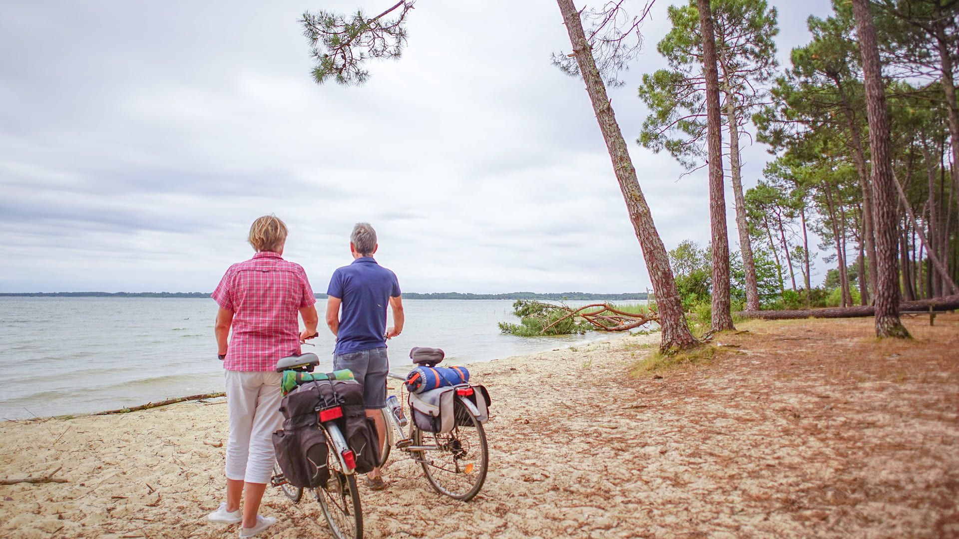 Cyclistes au bord du lac sous les pins - Biscarrosse - Vélodyssée - Landes - France