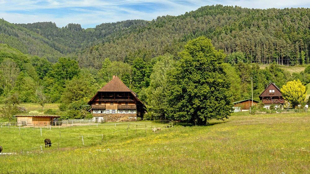 Ferme traditionnelle de la Forêt-Noire dans une vallée verdoyante - Allemagne