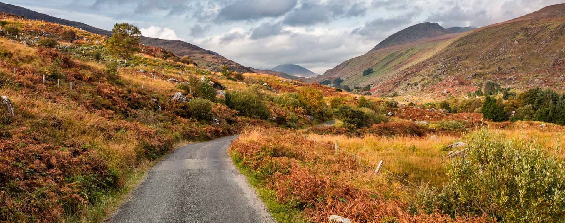 Route déserte dans la Black Valley en automne - Kerry - Irlande