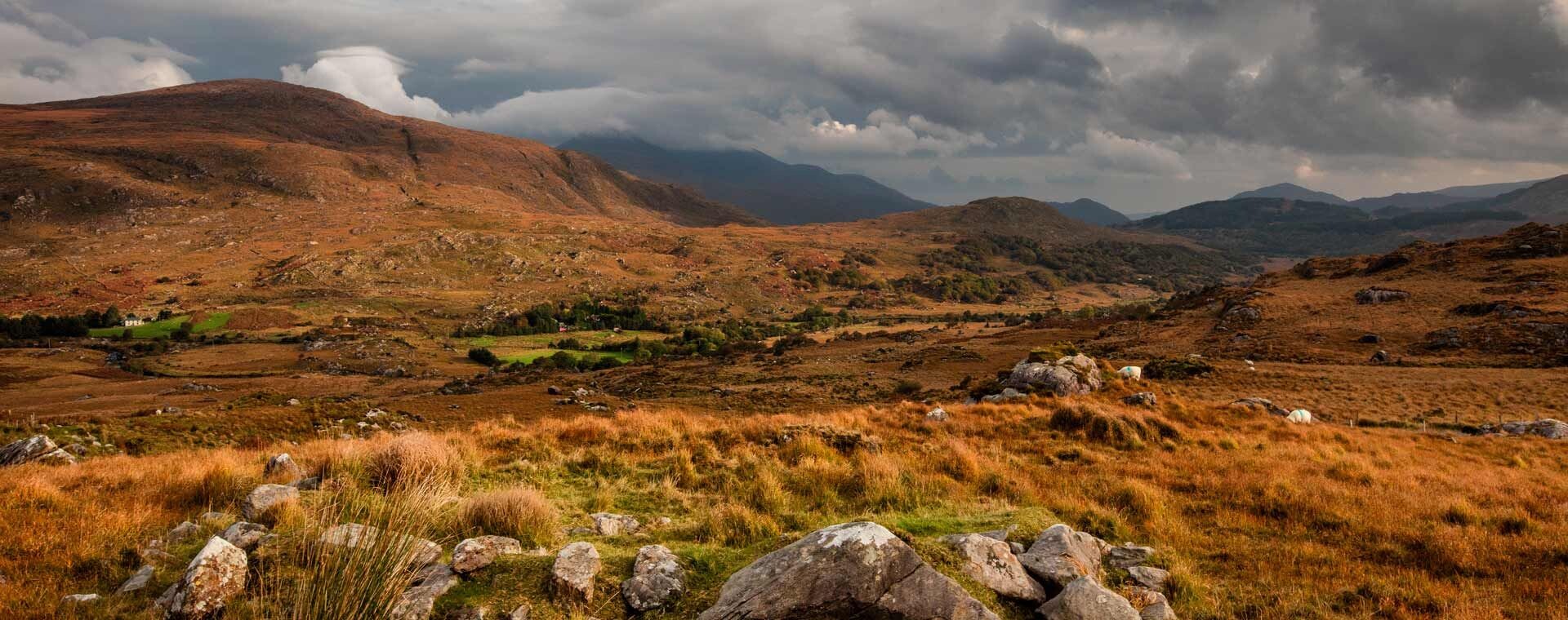 Vallée sauvage aux teintes automnales - Black Valley - Kerry - Irlande