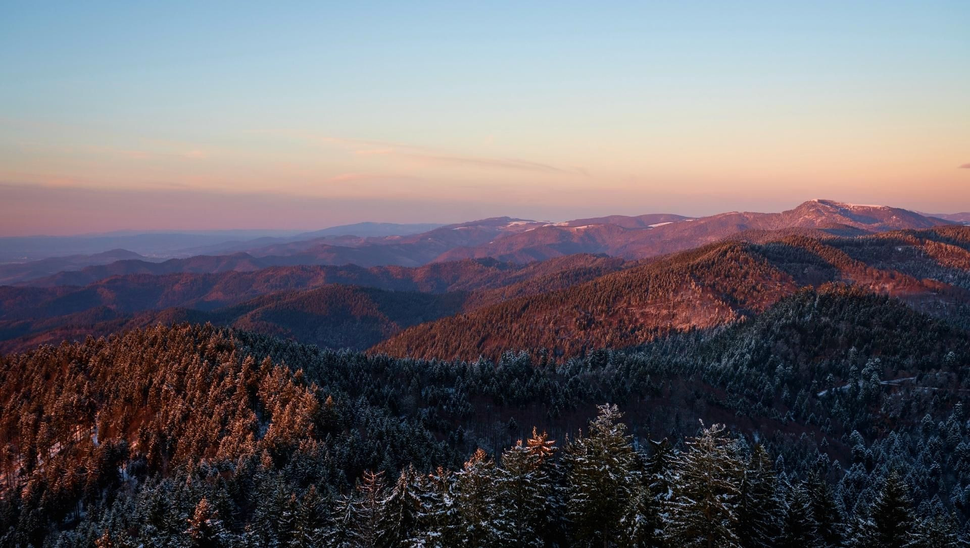 Collines boisées enneigées au crépuscule - Sud de la Forêt-Noire - Allemagne