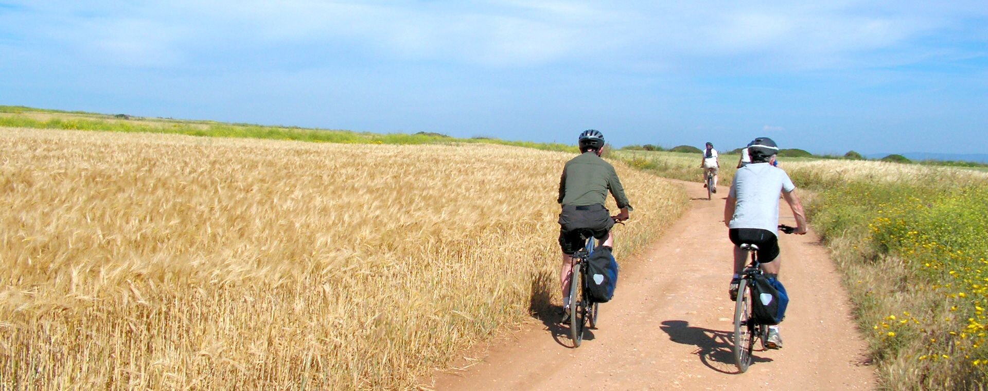 Cyclotourisme à travers les champs de blé - Sardaigne - Italie