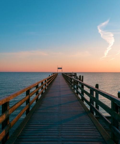 boltenhagen_c_unsplash_.jpg