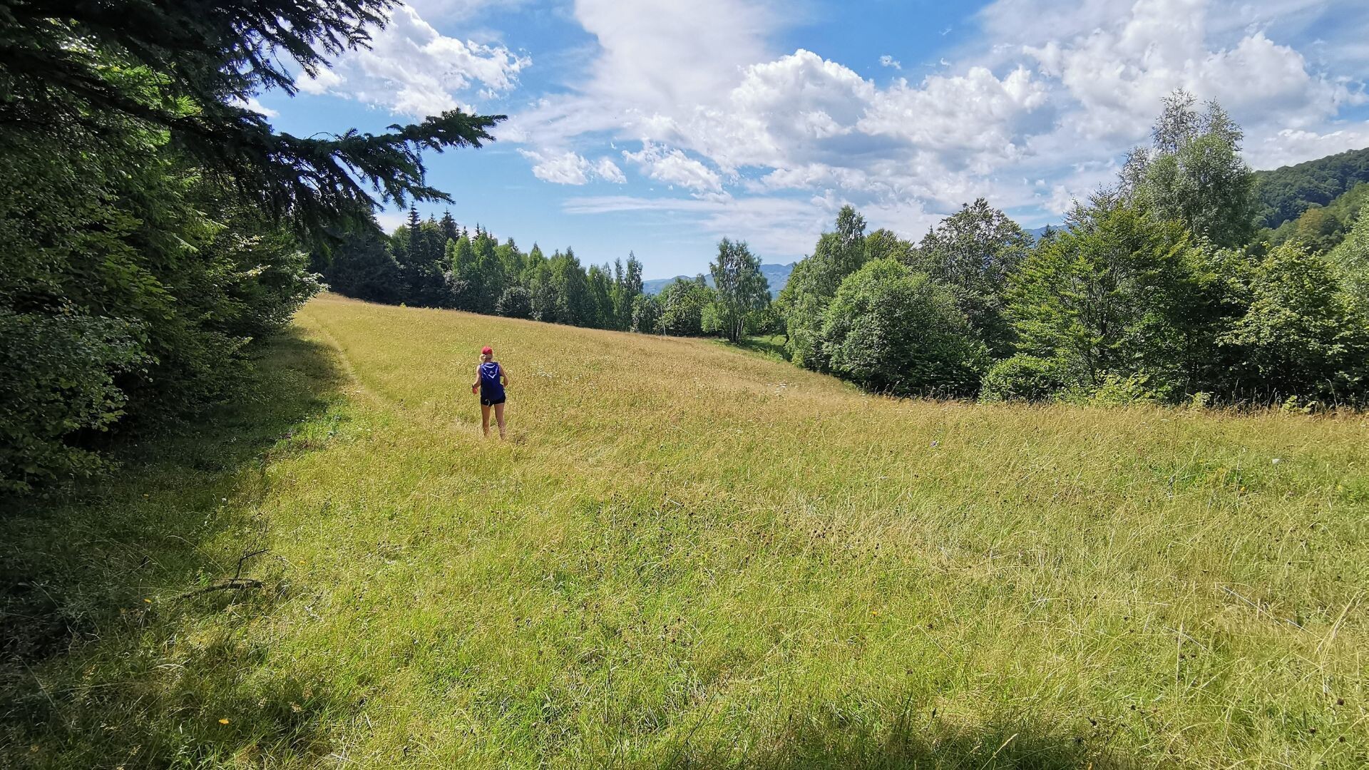 Randonneur dans une prairie d'altitude - Carpates - Roumanie