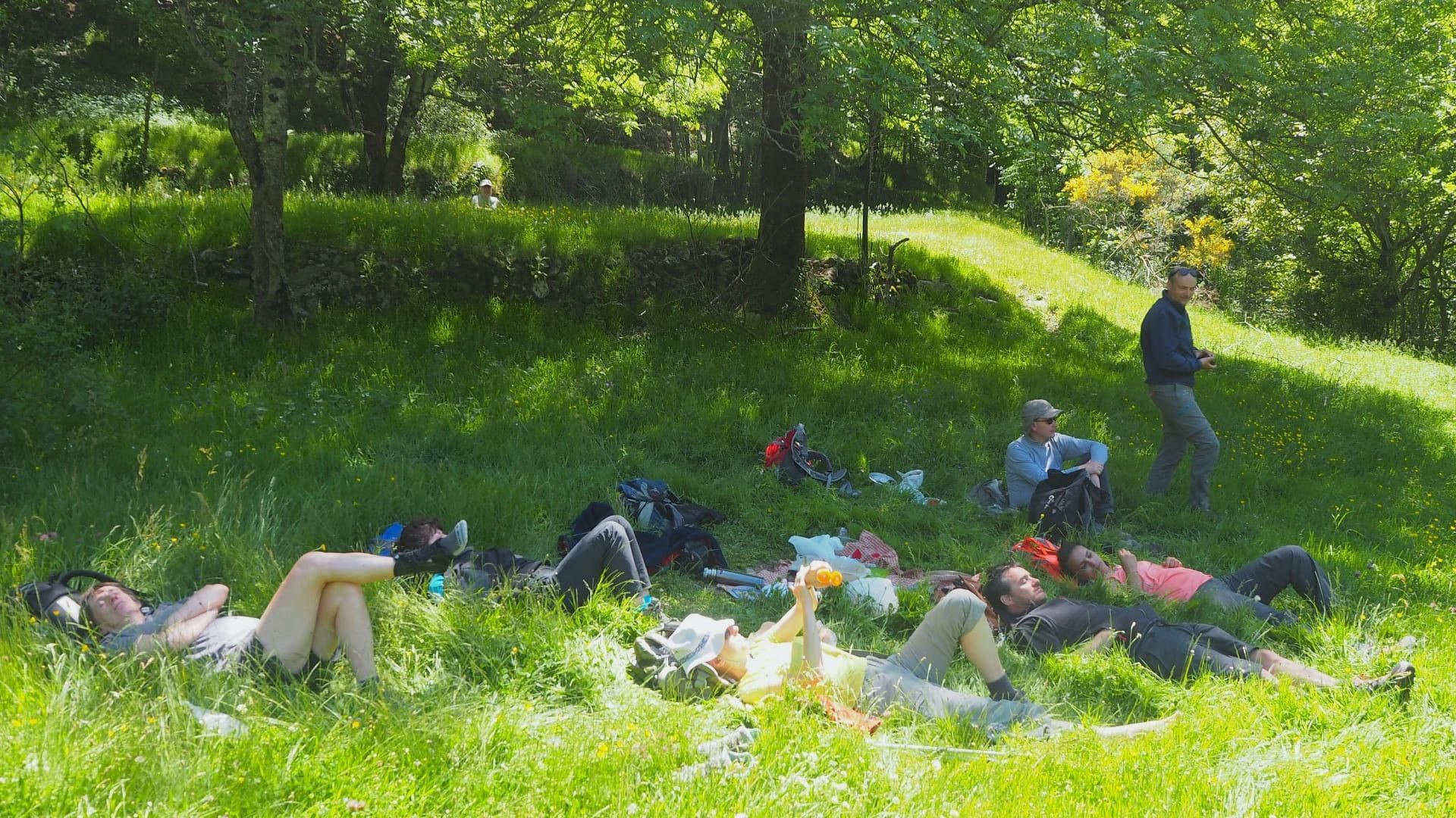 Randonneurs en pause repos dans un pré - Tour du Mont-Blanc - France