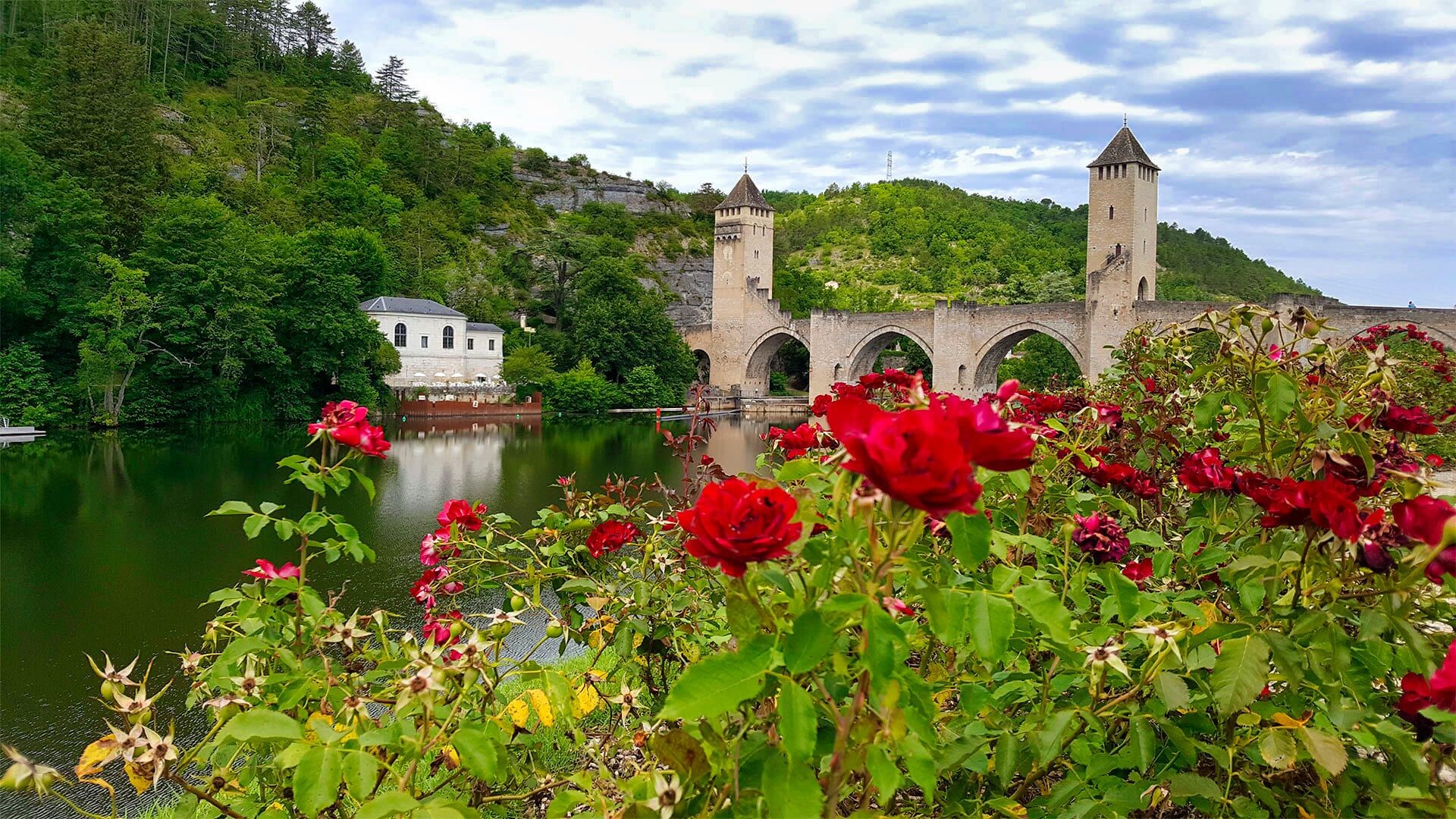 © S. Delaunay Pont Valentré et roses au bord du Lot - Cahors - France
