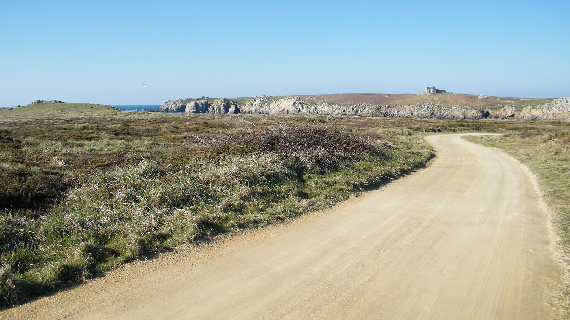 Chemin côtier à travers la lande - Île d'Ouessant - Bretagne - France