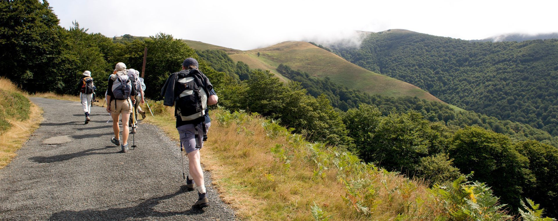Randonneurs montant vers les Pyrénées basques - Chemin de Saint-Jacques - France