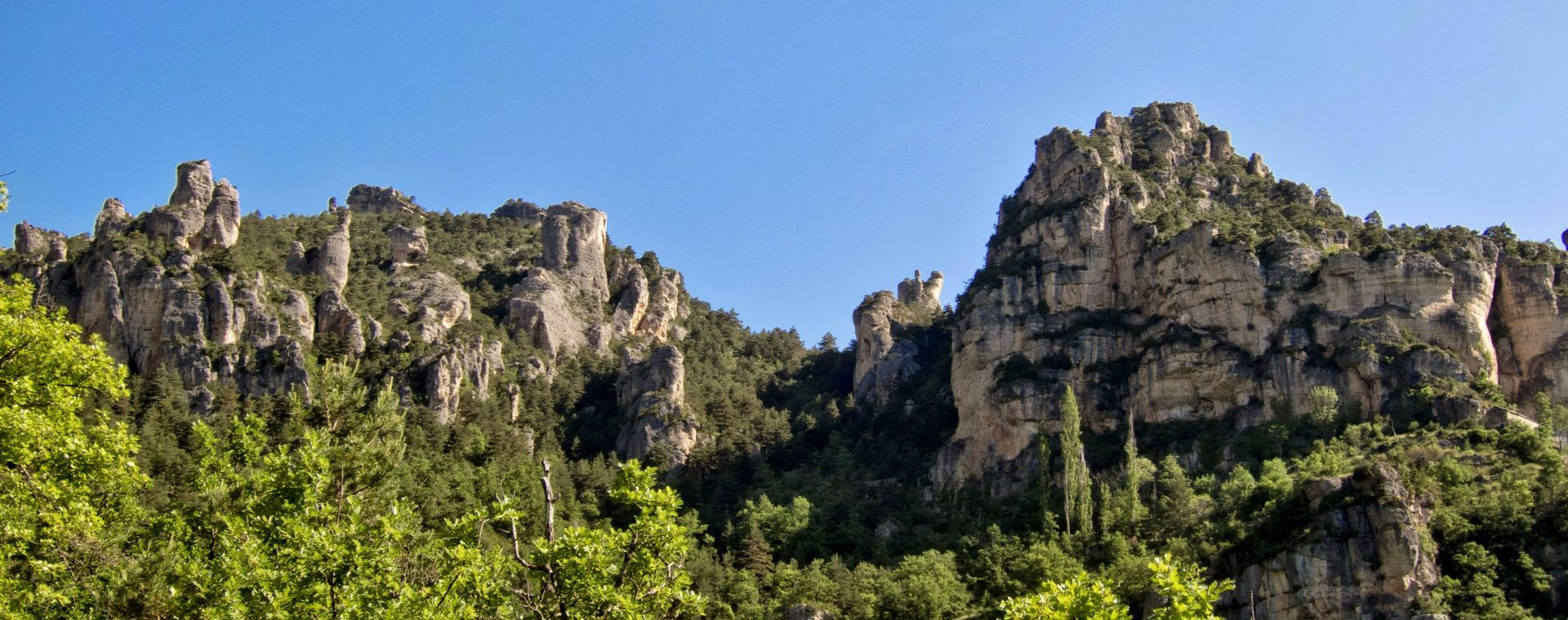 Falaises calcaires des gorges du Tarn - Massif Central - France