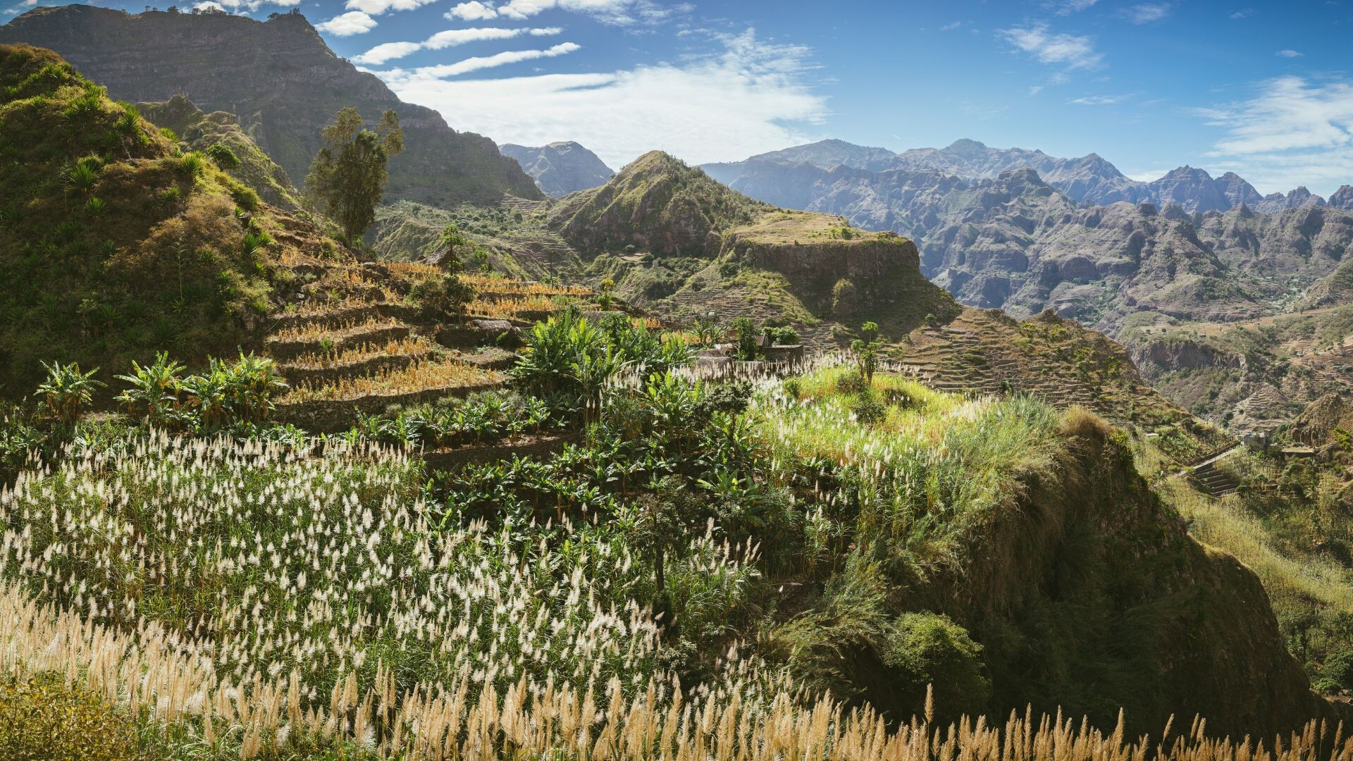 Vallée en terrasses cultivées - Santo Antão - Cap-Vert