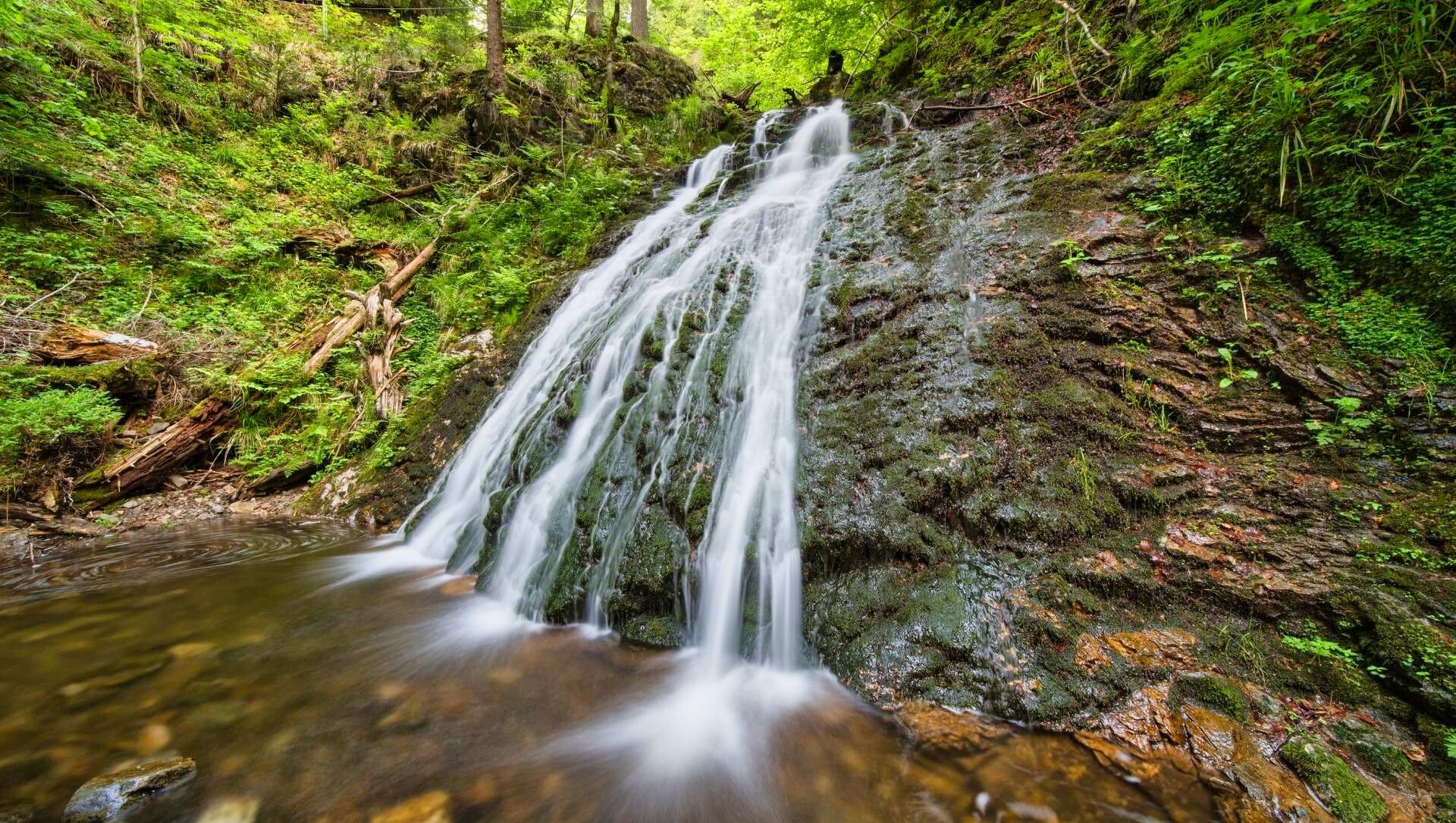 © Adobe Stock Cascade de Todtmoos en forêt - Forêt-Noire - Allemagne