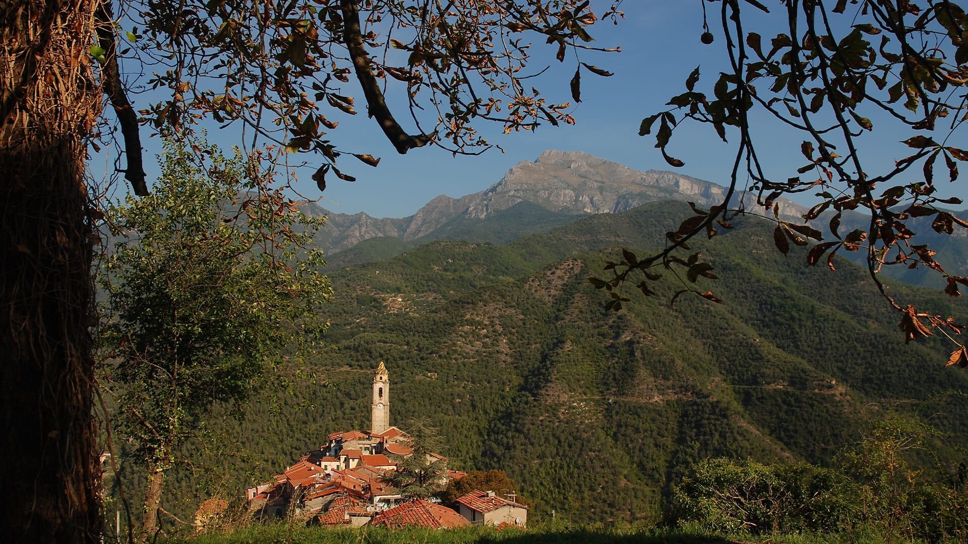 Village perché et clocher dominant la vallée boisée - Castel Vittorio - Ligurie - Italie