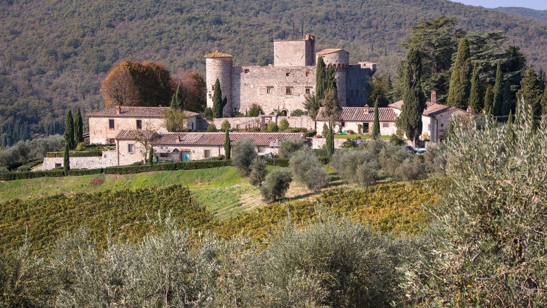 © Adobe Stock Château de Meleto au milieu des vignes et oliviers - Chianti - Toscane - Italie