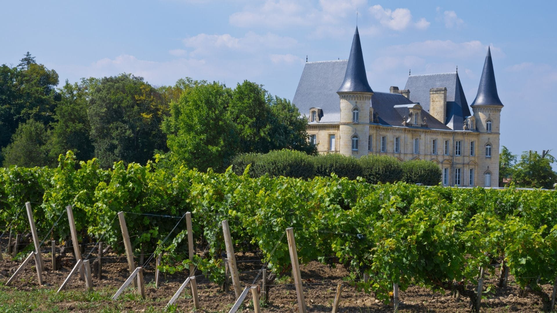 Château et vignoble du Médoc - Gironde - France