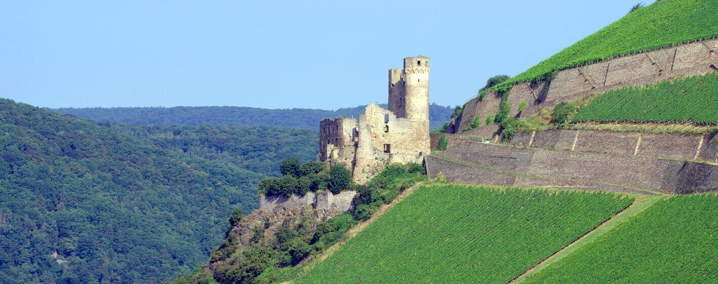 Ruines du château de Nollig au-dessus des vignobles - Lorch - Vallée du Rhin, Allemagne