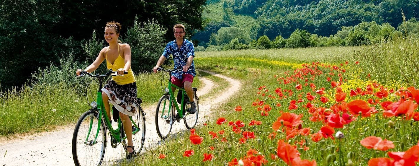 Couple à vélo dans les champs de coquelicots - Vallée du Rhin - Allemagne
