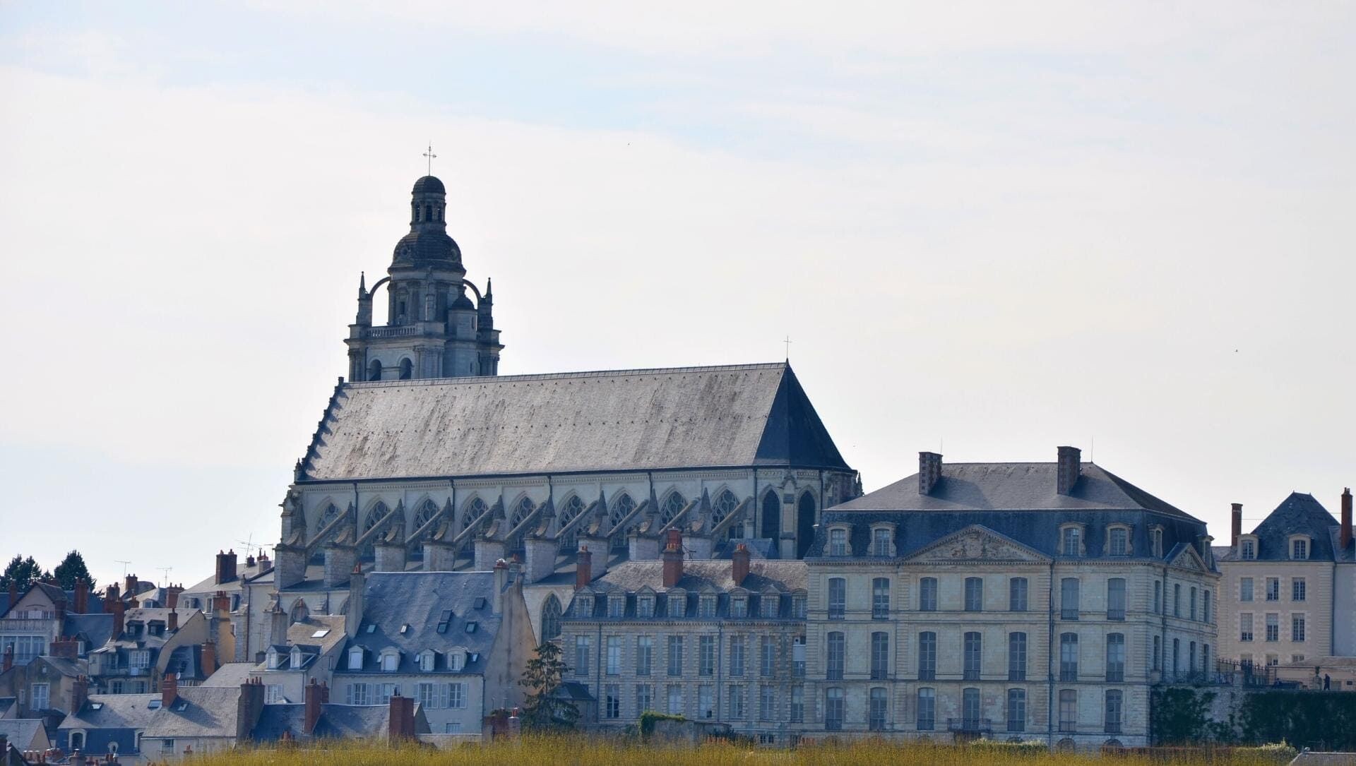 Cathédrale Saint-Louis dominant les toits - Blois - France