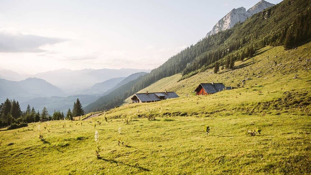 Chalets d'alpage dans le massif du Dachstein - Alpes - Autriche