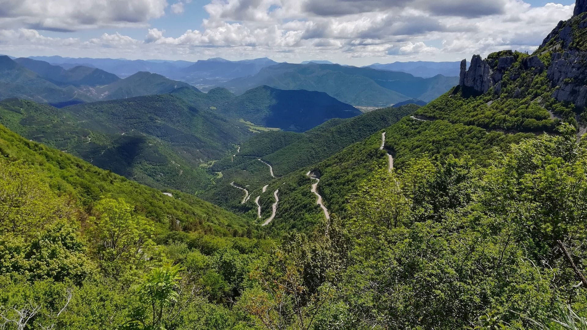 Route en lacets dans une vallée verdoyante vers le col des Champs - Mercantour - France