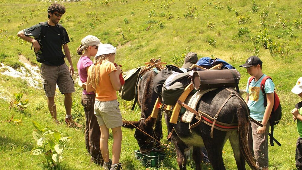 Famille en randonnée avec un âne de bât - Chartreuse - France
