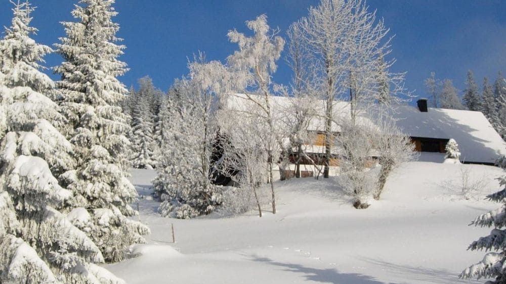 Paysage de Chartreuse - Alpes - France