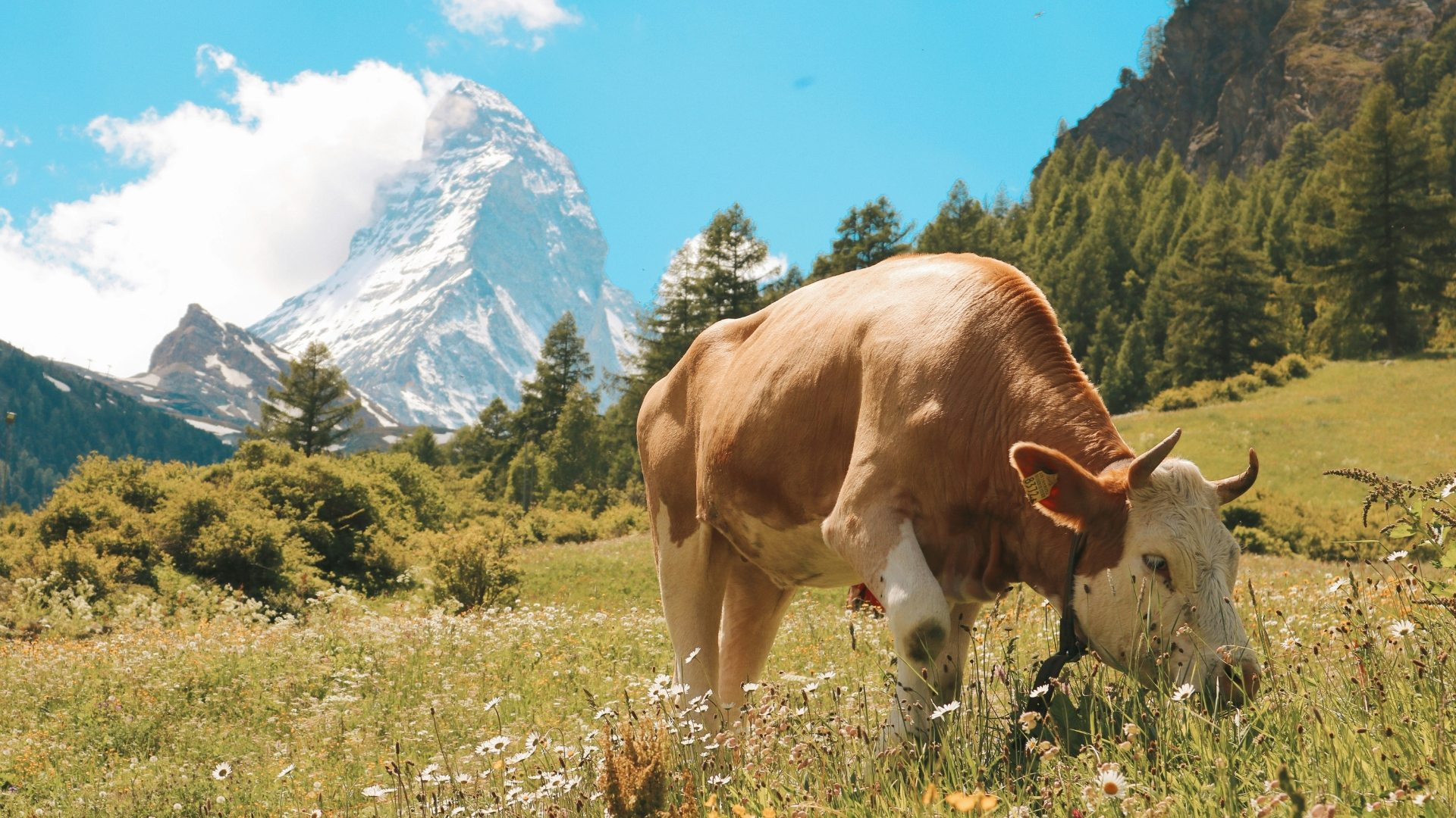 Western Haute Route from Arolla to Zermatt