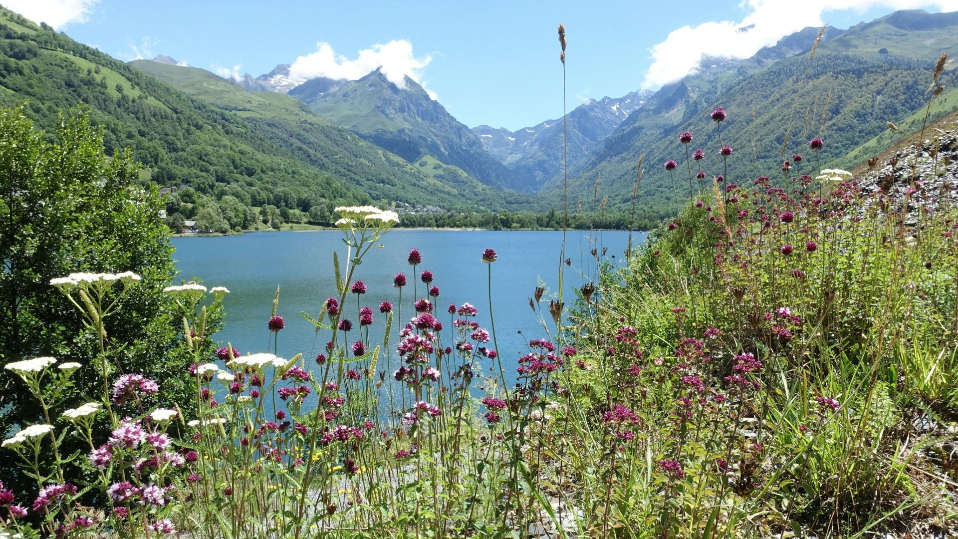 Lake Moiry