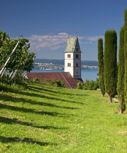 Église et vignobles au-dessus du lac de Constance - Meersburg - Allemagne