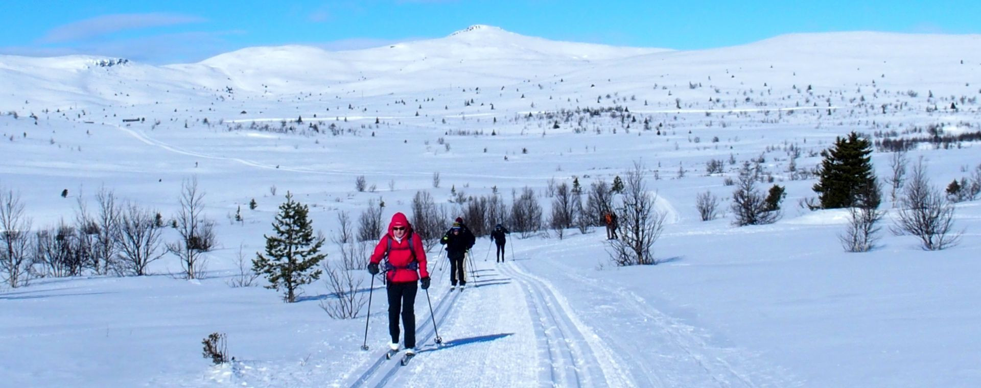 Skieurs de fond classique sur le plateau enneigé de Venabu - Norvège