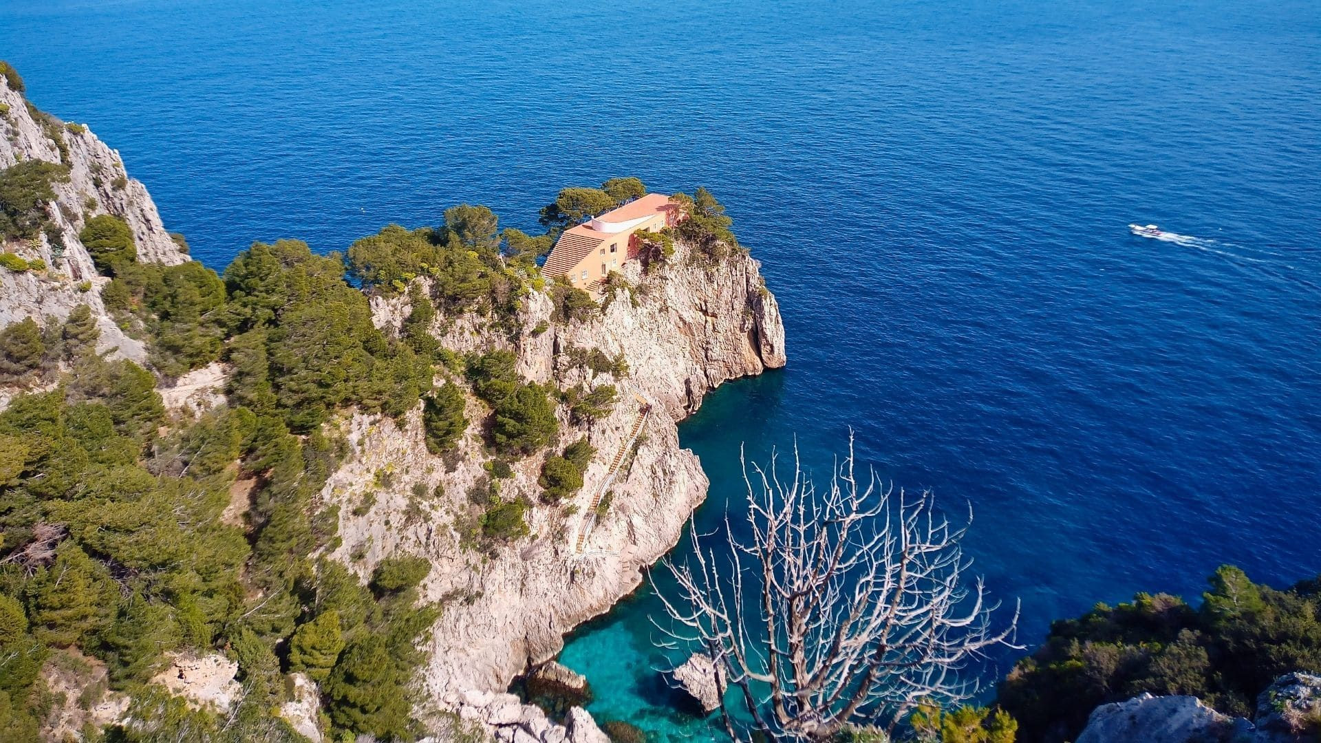 © Tania Gherli Falaise A Capri C Tania Gherli - Italie