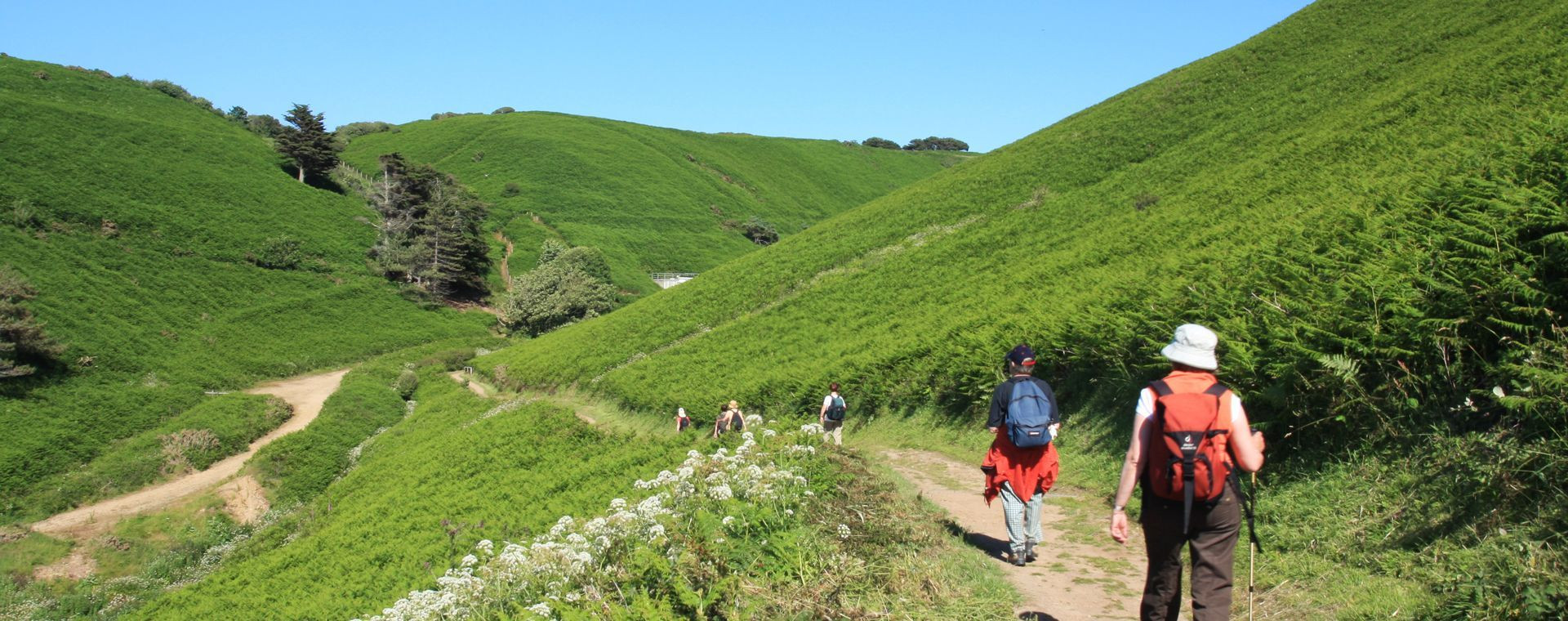Randonneurs sur un sentier côtier verdoyant - Jersey