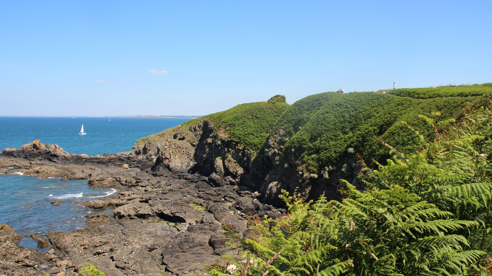 Côte rocheuse et fougères au bord de la mer - Saint-Cast-le-Guildo - Bretagne