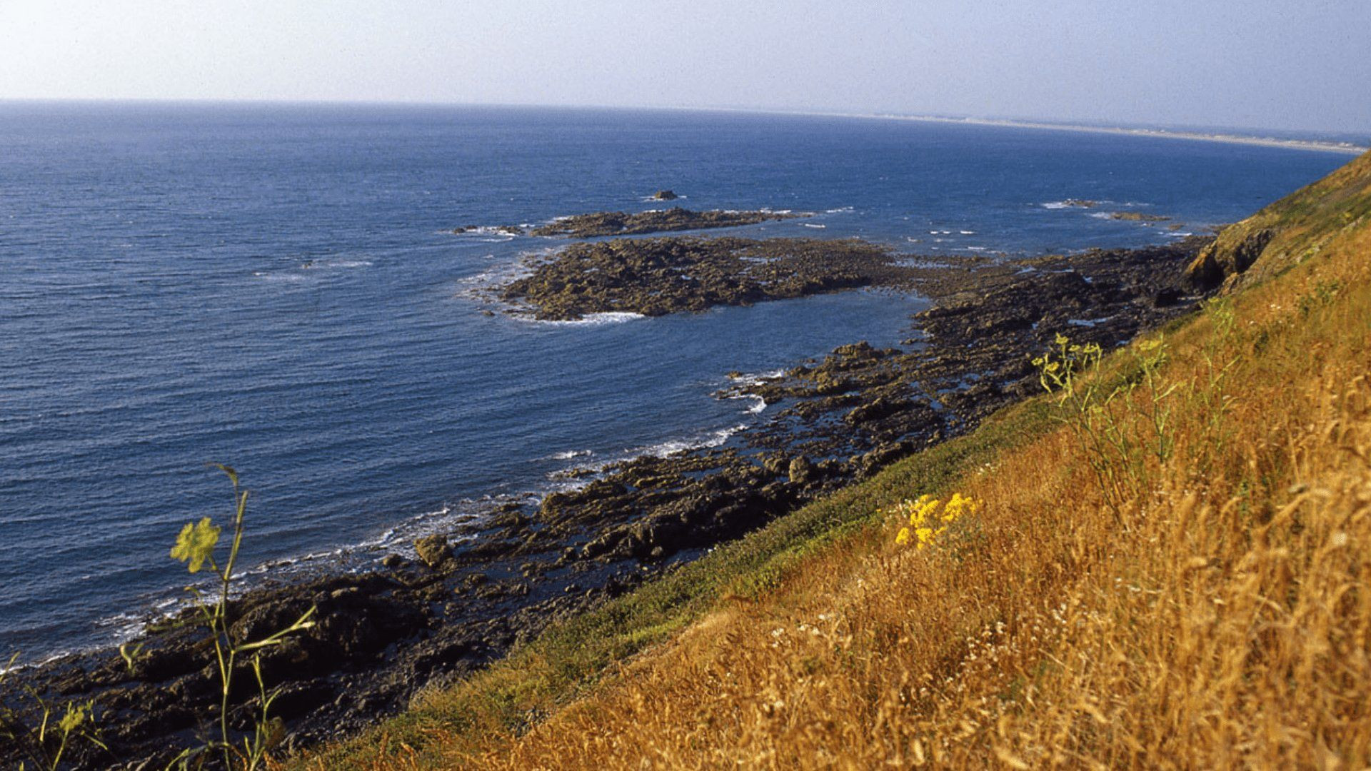 Côte rocheuse entre Granville et le Mont-Saint-Michel - Manche - France